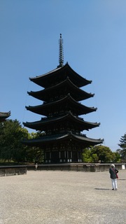 IMAG0025.jpg